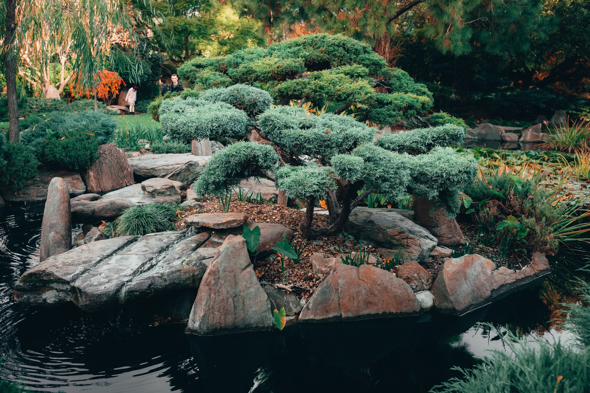 Landscape Design