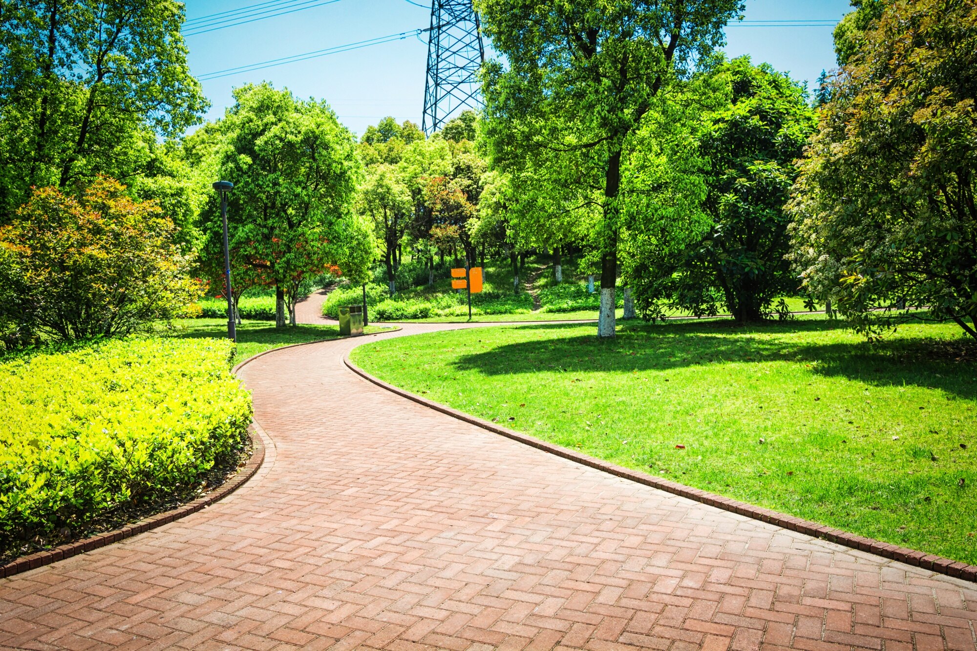 Garden path